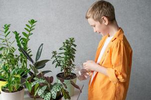A cute boy in a shirt is studying indoor green plants, caring for flowers. Jug of water photo
