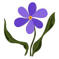 a purple flower with green leaves on a white background vector