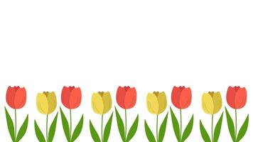 Beautiful spring background with tulips blooming. Template with copy space. Vector illustration isolated.