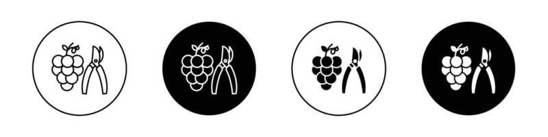 Pruning grape icon vector