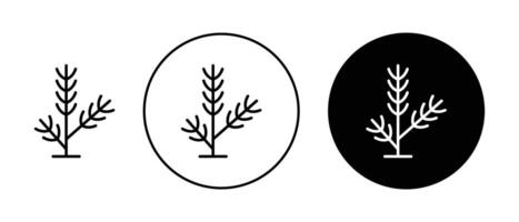 Pine branch icon vector