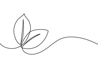 illustration of leaf continuous line vector