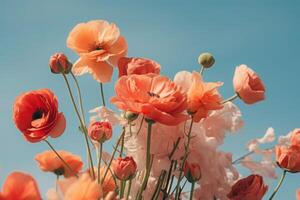 AI generated Blooming red poppy flowers against blue sky photo