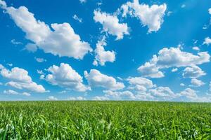 AI generated Green Lawn Under Bright Blue Sky With Fluffy Clouds photo