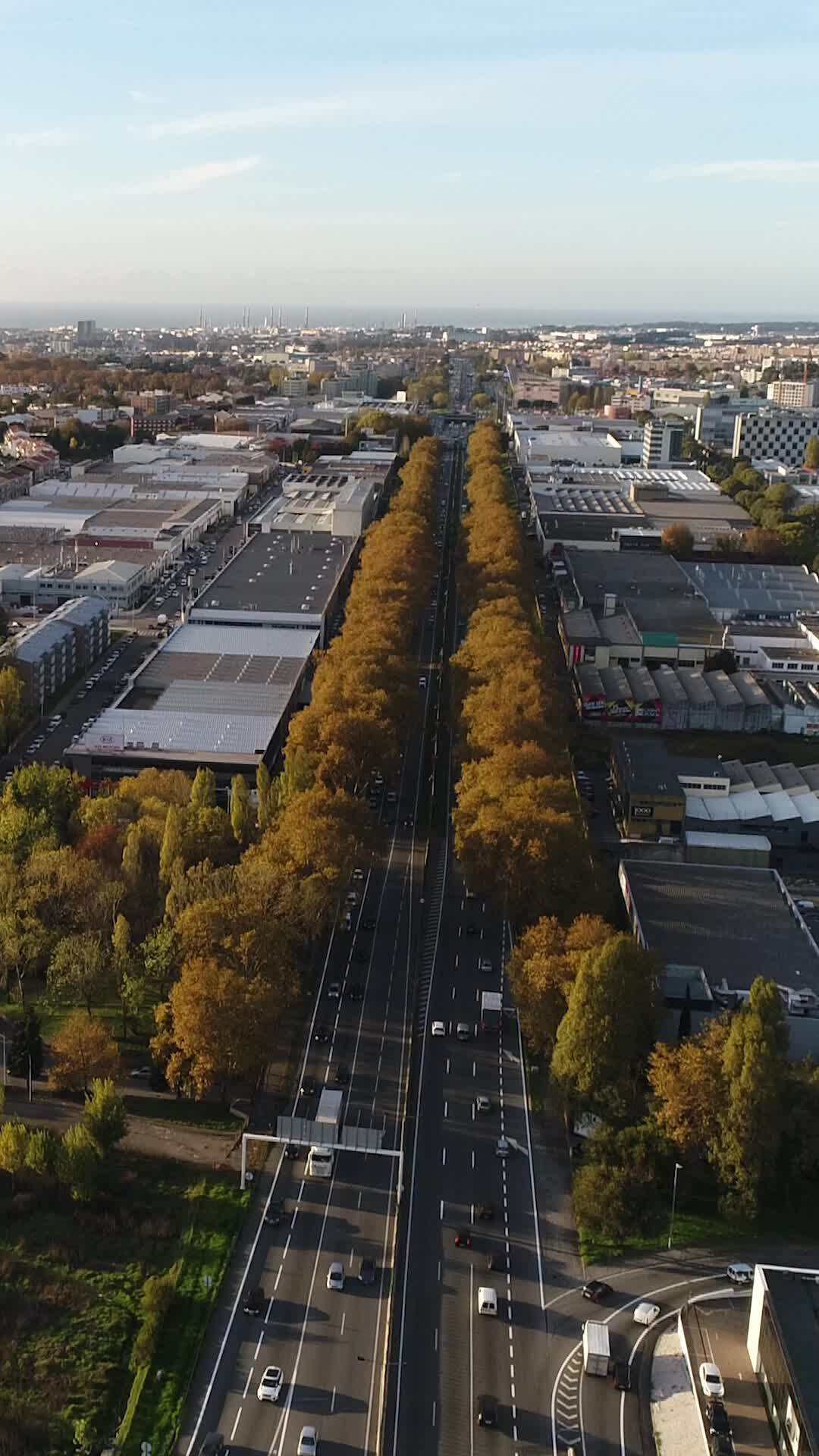 Boulevard Stock Video Footage for Free Download