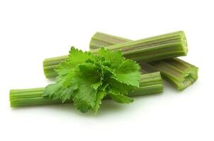 Fresh celery on white backgrounds photo