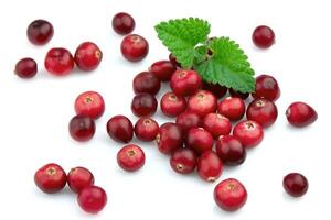 Ripe cranberry with a mint photo