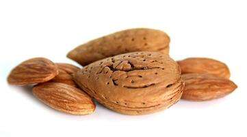 Almonds closeup on white backgrounds photo