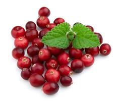 Ripe cranberry with a mint photo