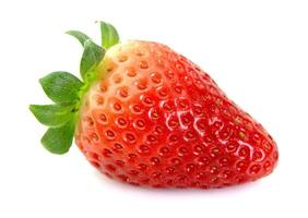 one strawberry on white backgrounds photo