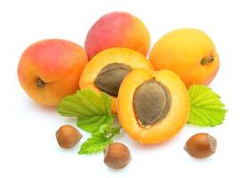 Apricots and nuts photo