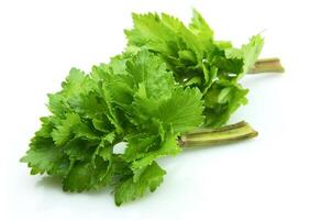 Celery on white backgrounds photo