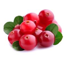 Cranberries with leafs photo