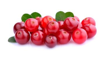 Cranberries with leafs. photo