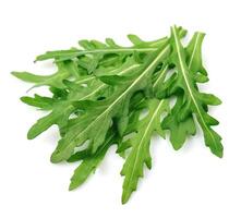 Arugula leaves on white backgrounds photo