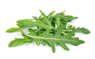 Rucola leaves on white backgrounds photo