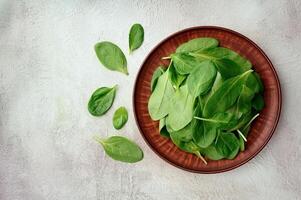 Spinach leaves in plate photo