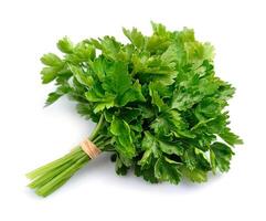 Sweet parsley on white backgrounds photo