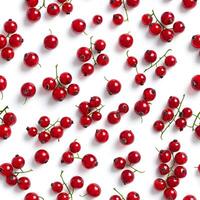 AI generated Pattern of red currant berries photo