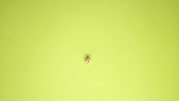 top view of pistachios nuts dropping on yellow background video