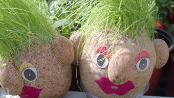 Handmade doll for growing grass seeds as hairs. Child education video