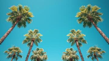 AI generated A minimalist composition of tall palm trees against a bright blue sky photo