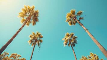 AI generated A minimalist composition of tall palm trees against a bright blue sky, creating a striking photo