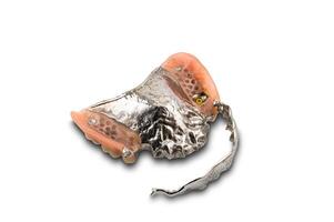 Opened removable swinglock denture isolated on white background with clipping path. photo