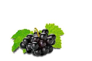 Bunch of black ripe grapes with green leaves isolated on white background with clipping path. photo