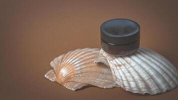 Age makeup. Black cream jar on large sea shells photo