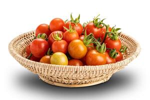 Closeup view pile of freshly harvested ripe and juicy tomatoes in bamboo basket isolated on white background with clipping path. Ripe, red, juicy tomatoes in bamboo basket isolated on white. photo