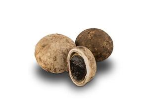 Mushroom Hygroscopic earthstar or False earthstar or Barometer earthstar full and half on white background with clipping path. photo
