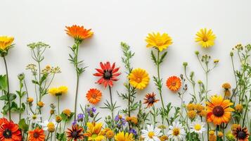 ai generado un minimalista arreglo de brillante verano flores me gusta girasoles y margaritas foto