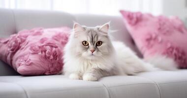 ai generado un gato sentado en un blanco cuero sofá con rosado almohadas foto