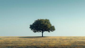 AI generated solitary tree standing against a clear sky, its branches reaching out in a sparse photo