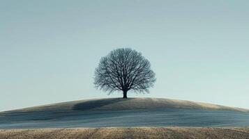 ai generado solitario árbol en pie en contra un claro cielo, sus ramas alcanzando fuera en un escaso foto