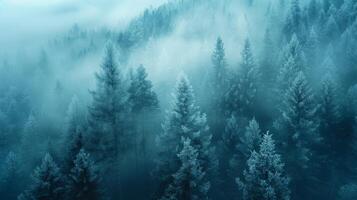 ai generado un minimalista fotografía de un brumoso bosque, con alto arboles desvanecimiento dentro el niebla y suave foto