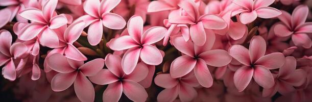 AI generated a photo of pink flowers