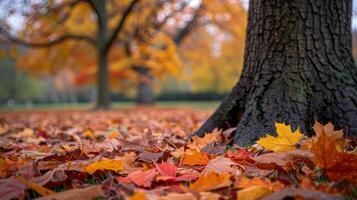 AI generated autumn leaves, with a few colorful leaves scattered on the ground photo