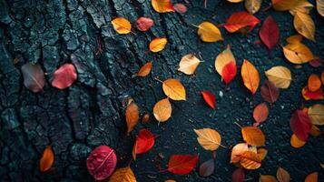 AI generated A minimalist shot of autumn leaves, with a few colorful leaves scattered on the ground photo