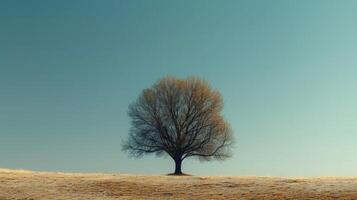 ai generado solitario árbol en pie en contra un claro cielo, sus ramas alcanzando fuera en un escaso foto