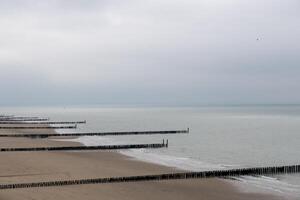 antiguo de madera rompeolas en el norte mar en Zeeland Países Bajos foto