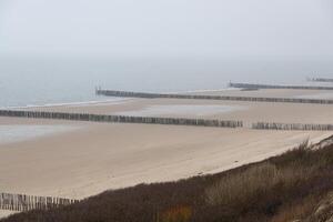 old wooden breakwaters on the north sea in Zeeland Netherlands photo