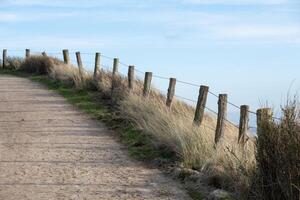 fenced path over the dunes on the dutch north sea in zeeland photo