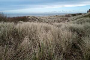 dunas en el costa de Delaware haan, Bélgica foto