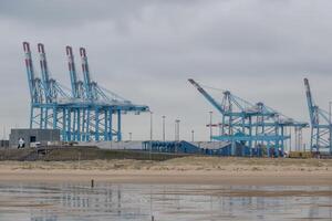 Puerto grúas a el Puerto de Zeebrugge en Bélgica foto