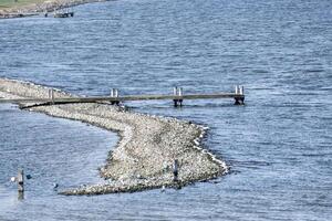 coast of northern sea in the netherlands photo