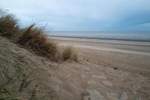 dunas en el costa de Delaware haan, Bélgica foto