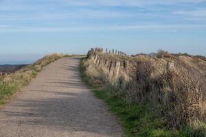 fenced path over the dunes on the dutch north sea in zeeland photo