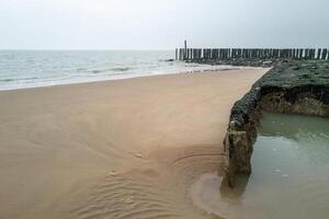 antiguo de madera rompeolas en el norte mar en Zeeland Países Bajos foto